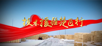 技术援疆楚匠行