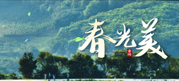 春光美